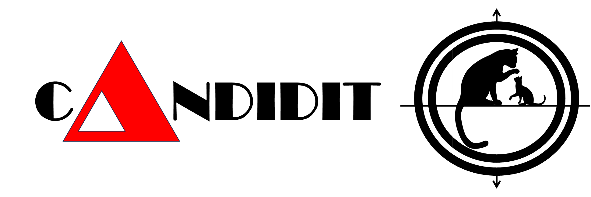 Candidit Consulting Logo